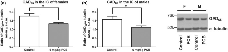 FIG. 5.