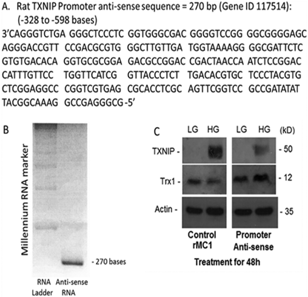 Figure 4: