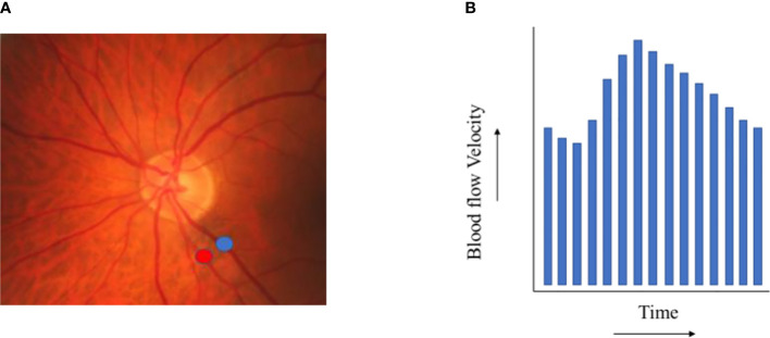 Figure 2.5