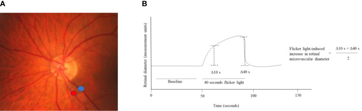 Figure 2.4