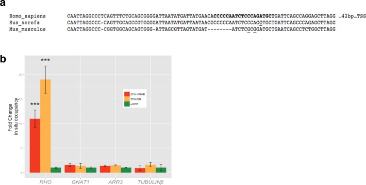 Figure 1—figure supplement 1.