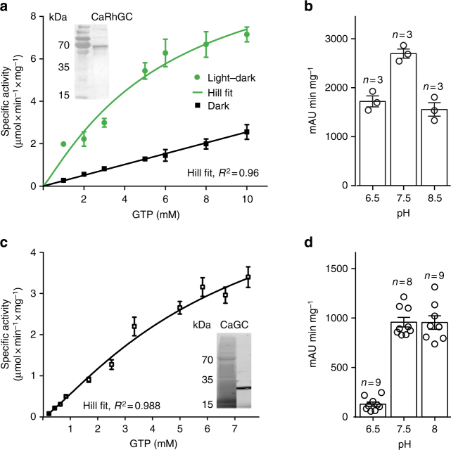 Fig. 4