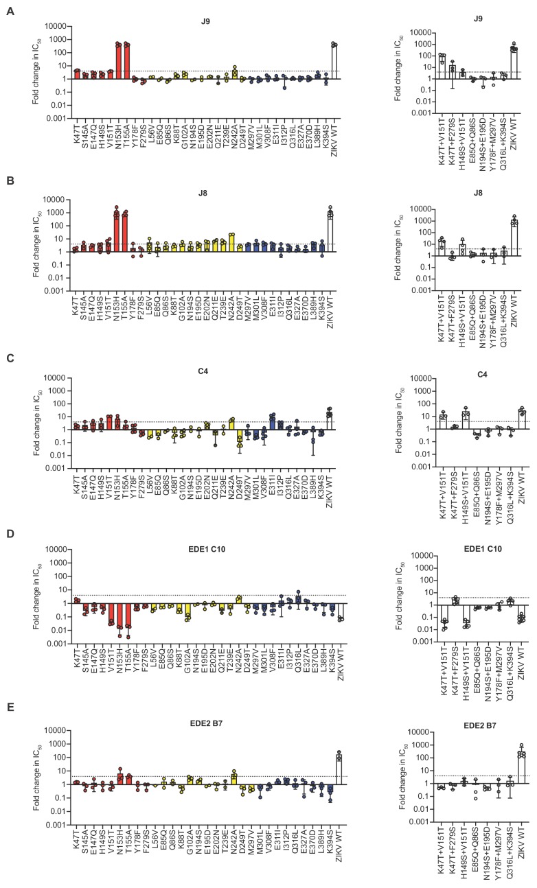 Figure 5—figure supplement 3.