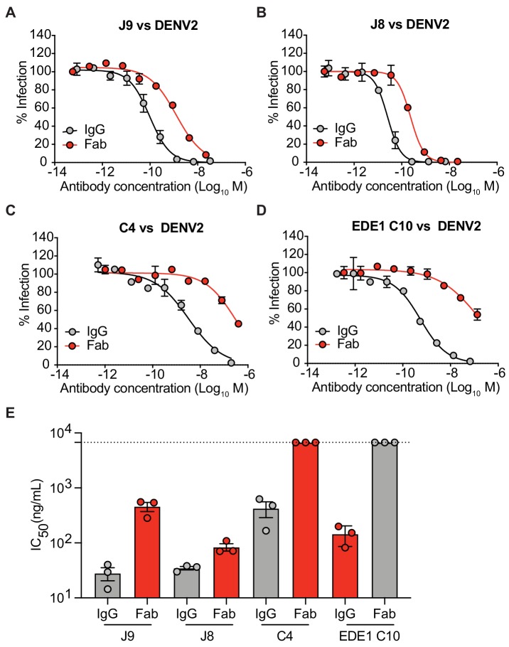 Figure 2—figure supplement 1.