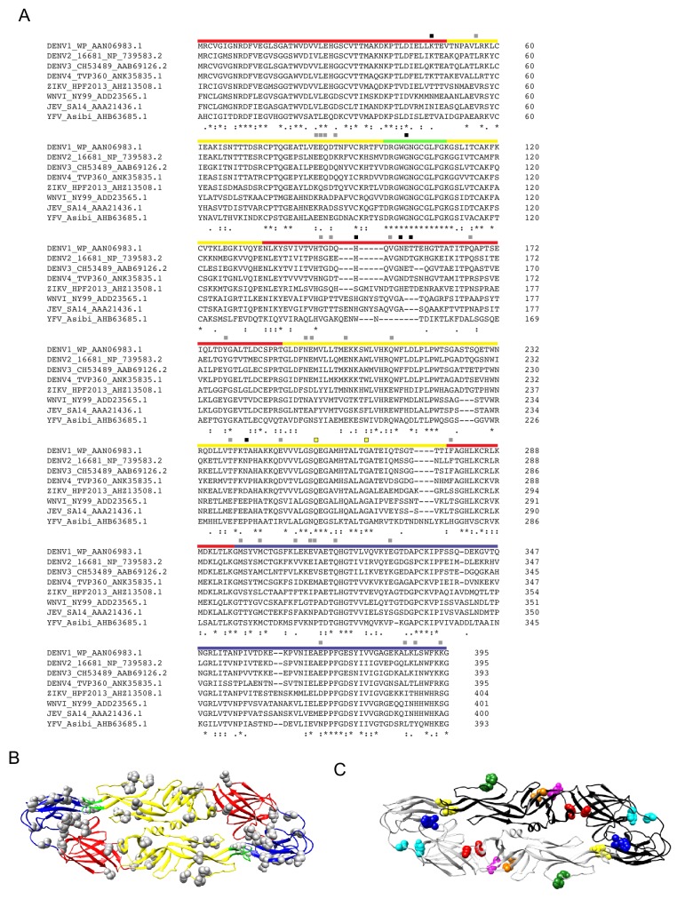 Figure 5—figure supplement 1.