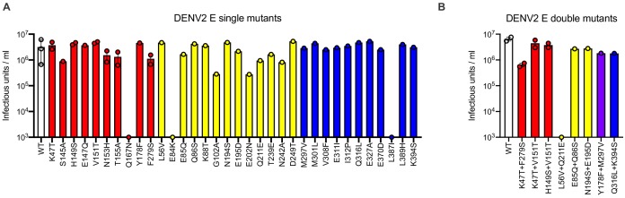 Figure 5—figure supplement 2.