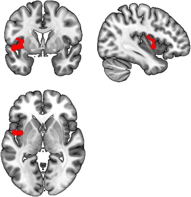 Fig. 5