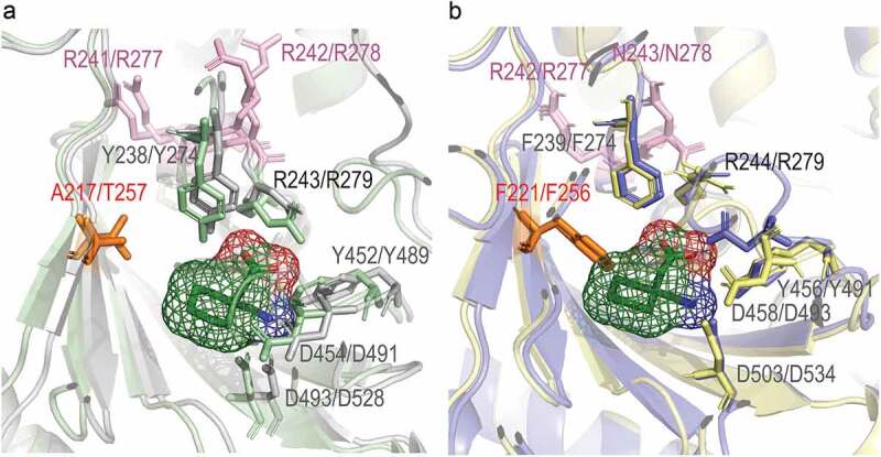 Figure 2.