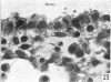 476-5