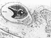 476-5