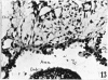 476-3