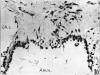 476-3