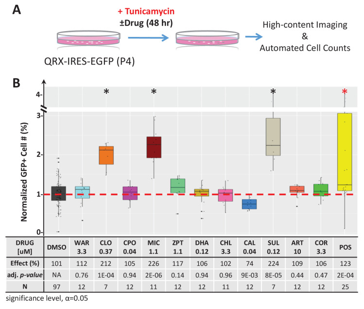 Figure 4—figure supplement 1.