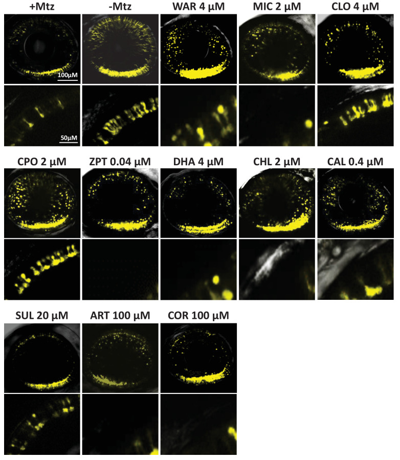 Figure 3.