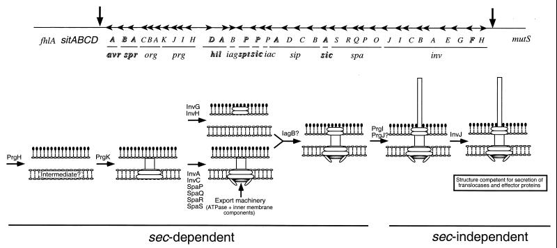 FIG. 5