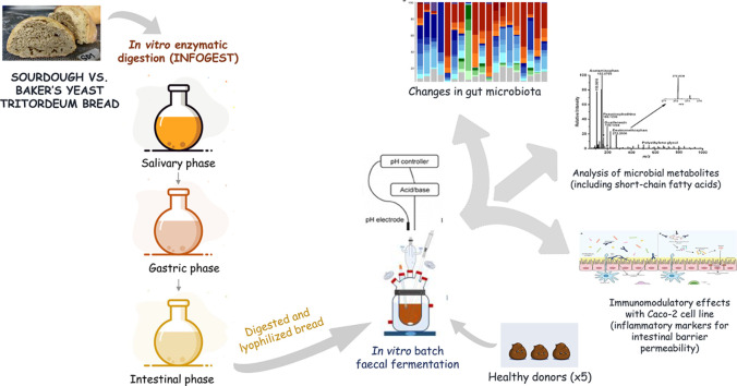 Image, graphical abstract