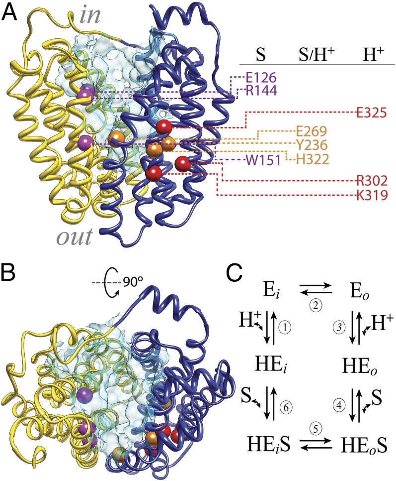 Fig. 1.