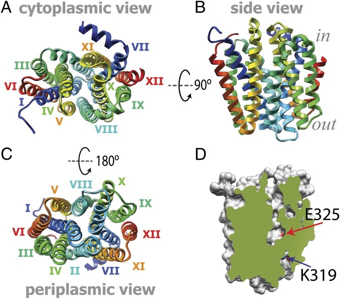 Fig. 2.