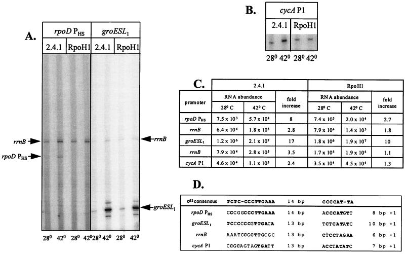 FIG. 5