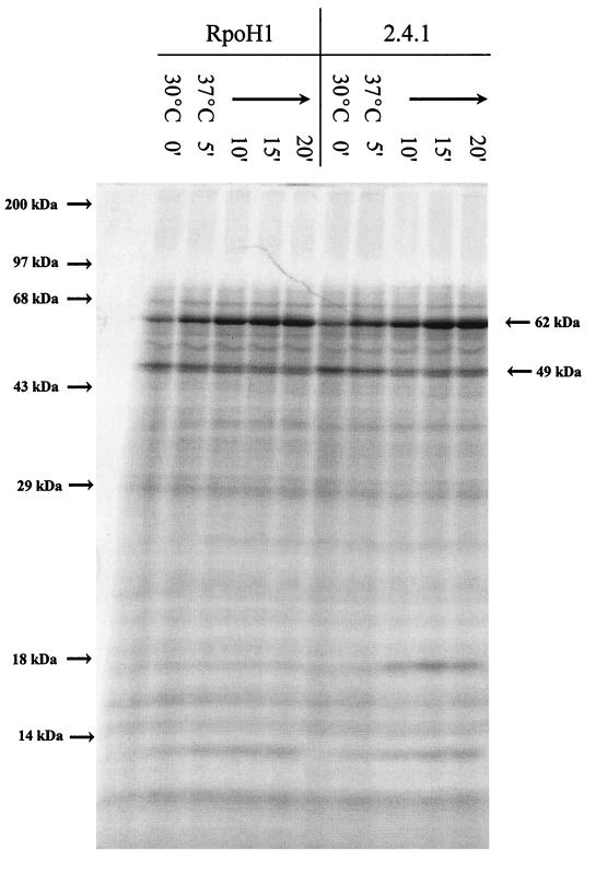 FIG. 9