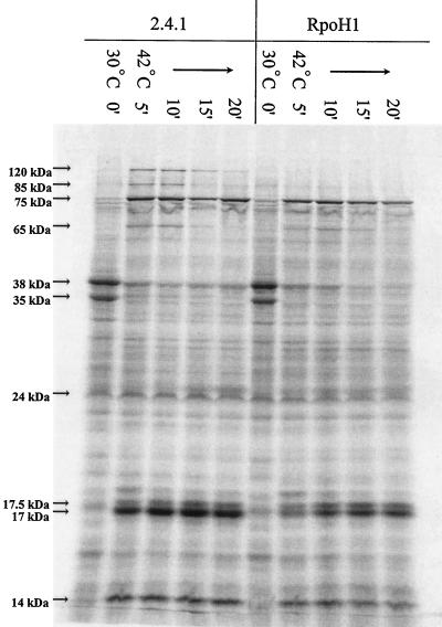 FIG. 3