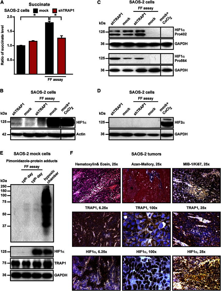 Figure 6