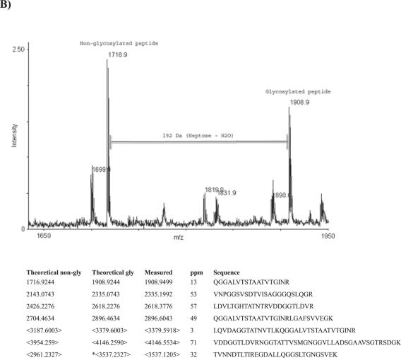 FIG.4.