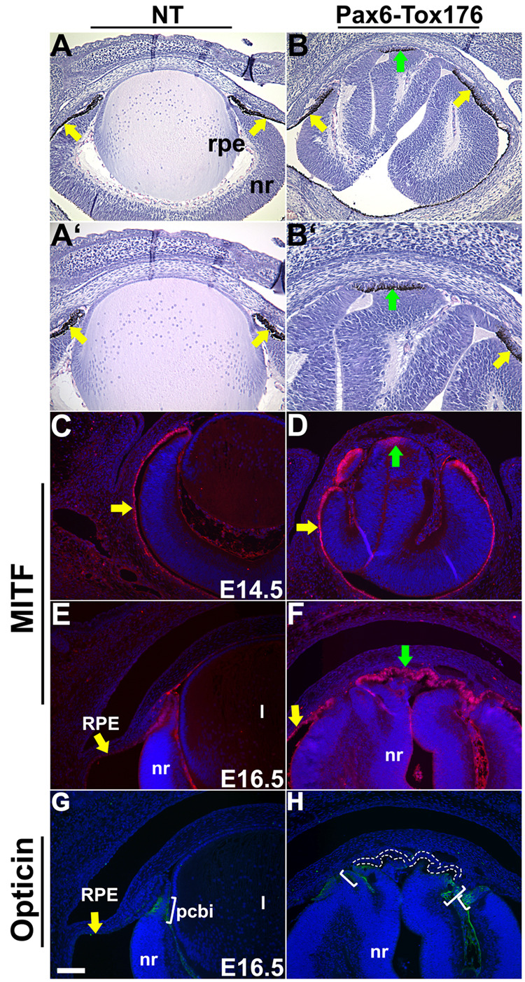 Figure 6