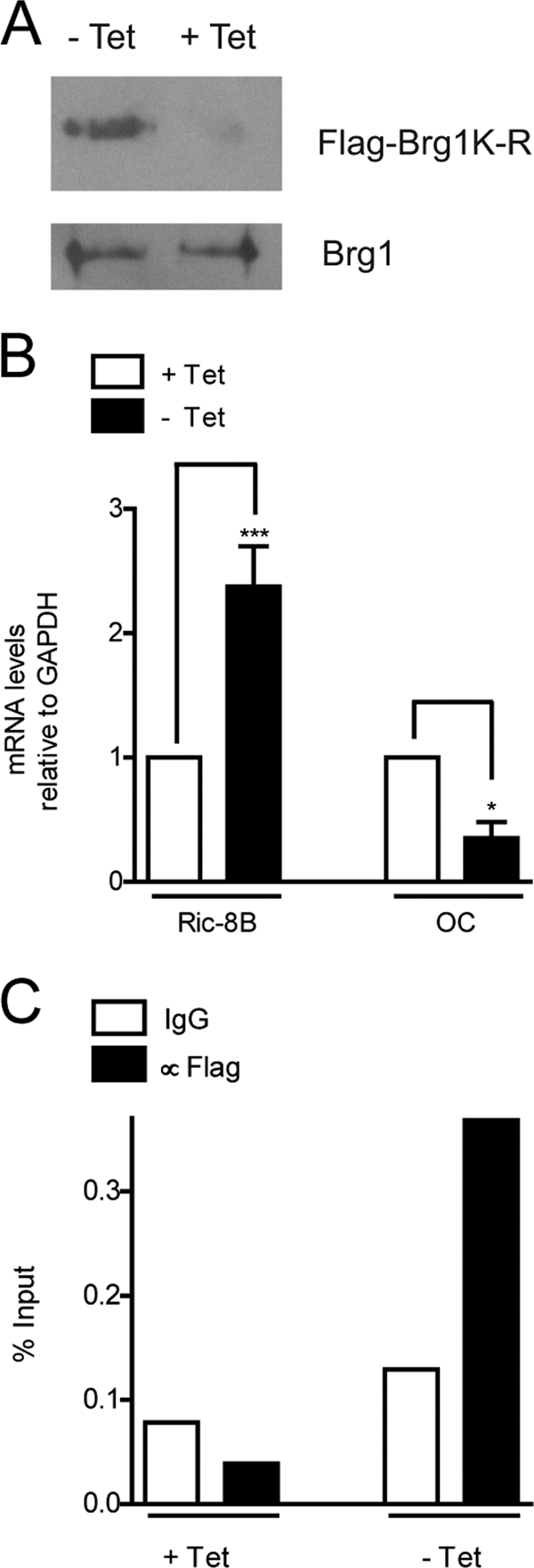 Fig. 9.