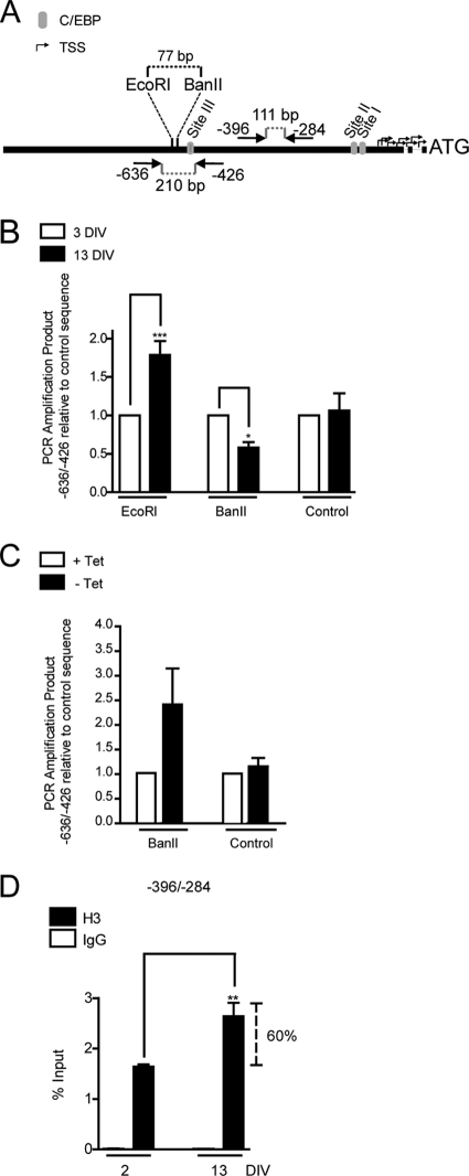 Fig. 10.