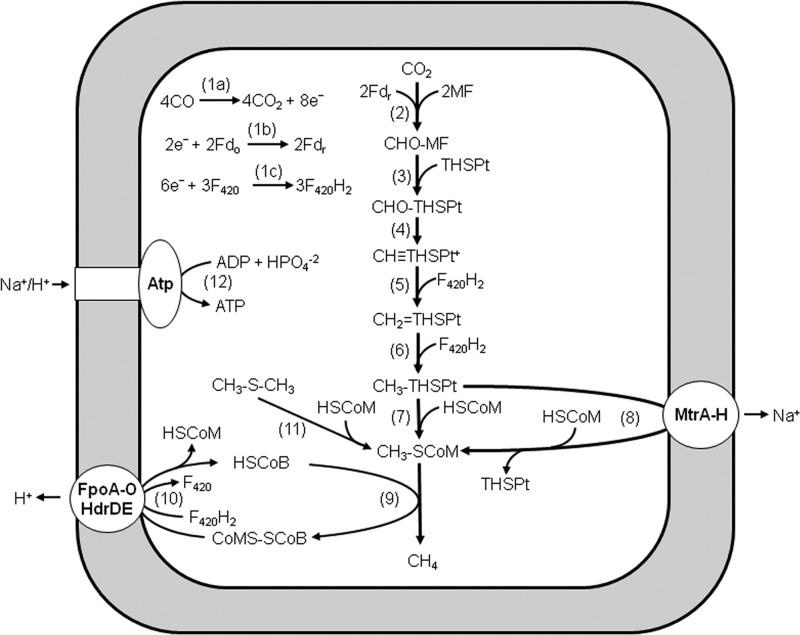 Fig 5