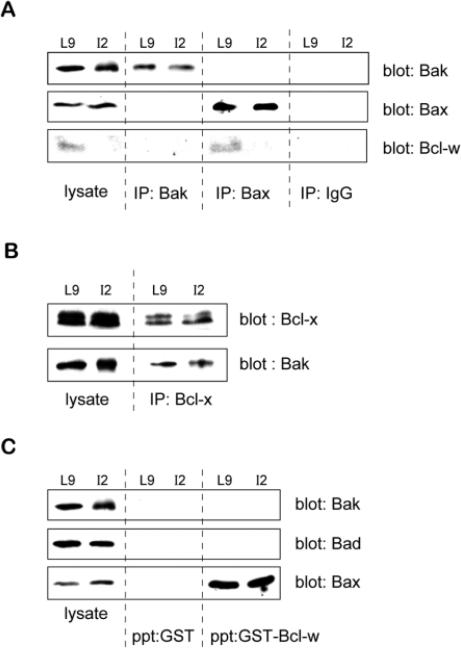 Fig. 9