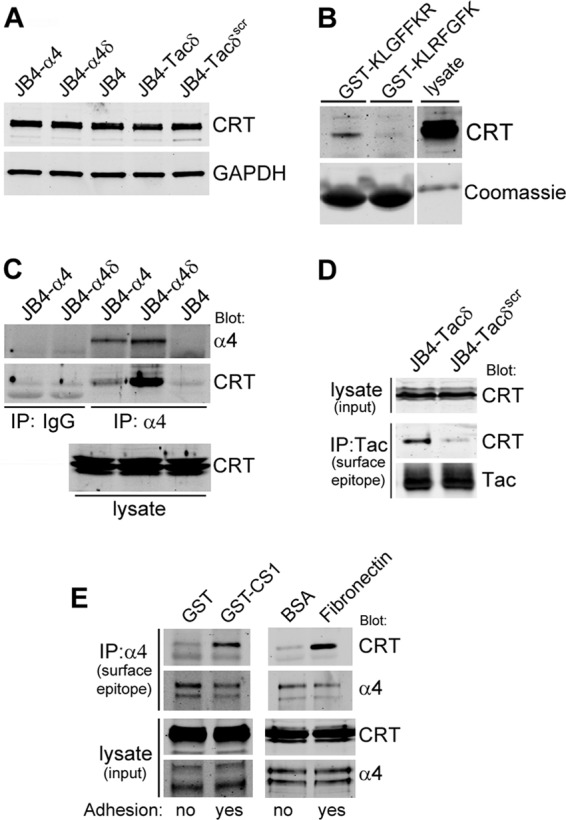 Fig 8