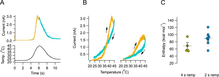 Figure 1—figure supplement 1.