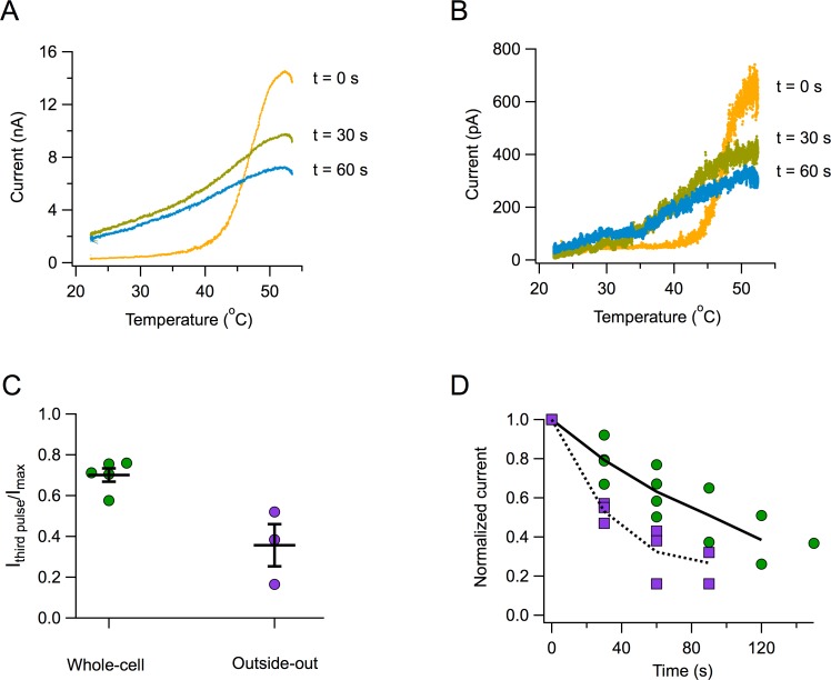 Figure 2—figure supplement 1.