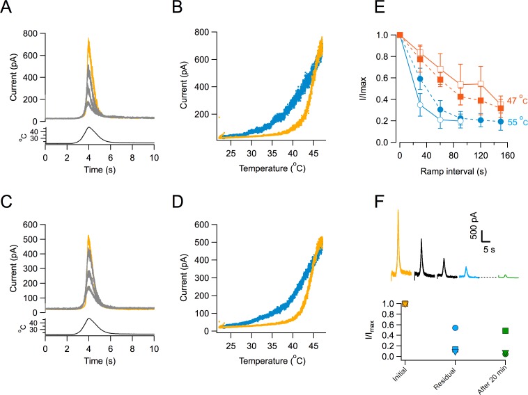 Figure 3—figure supplement 1.