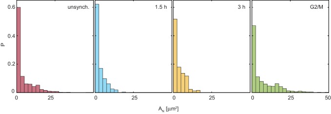 Figure 2—figure supplement 1.