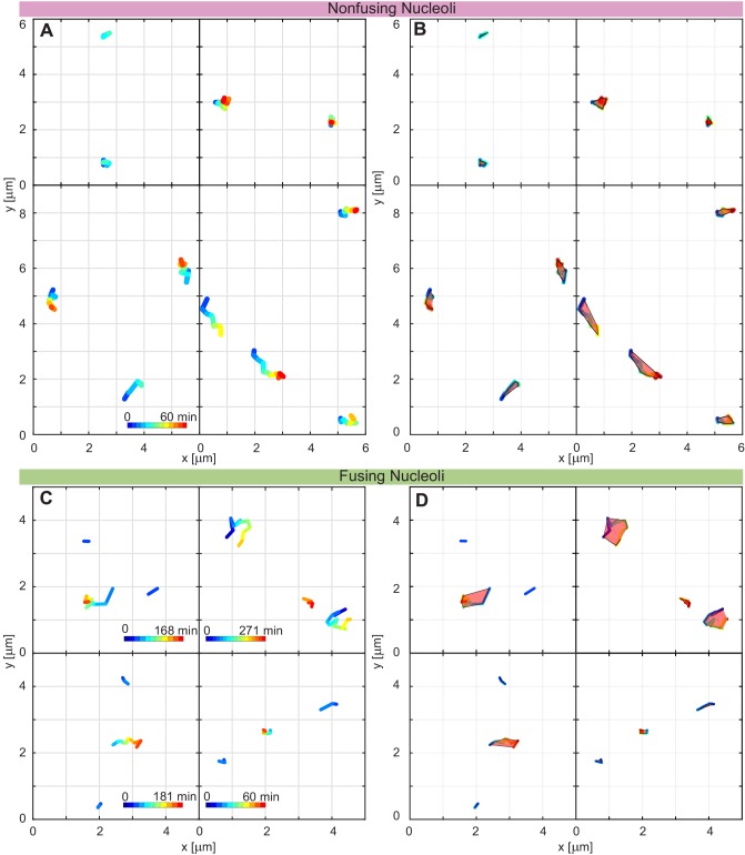 Figure 5—figure supplement 1.