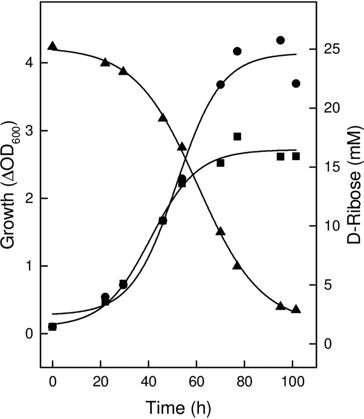 FIG 2