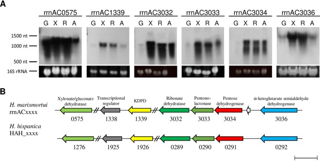 FIG 3