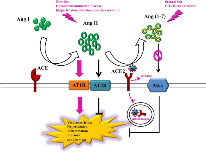 FIGURE 2