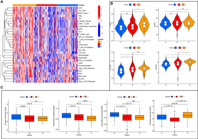 Figure 3