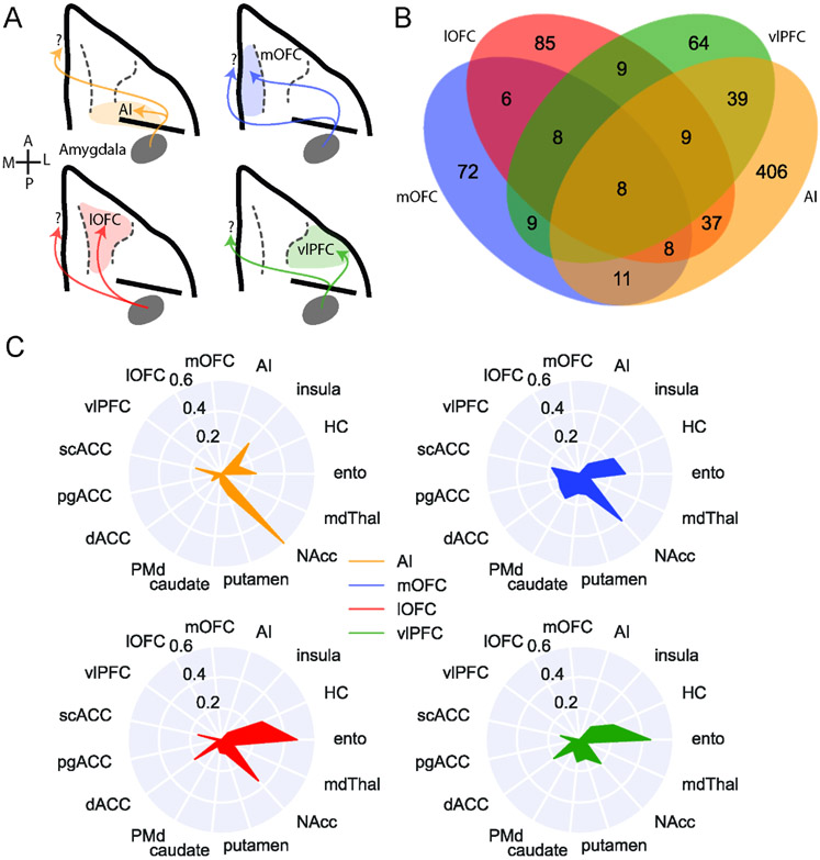 Figure 4: