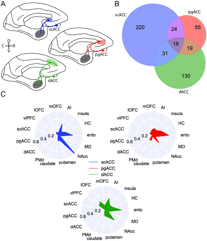 Figure 3: