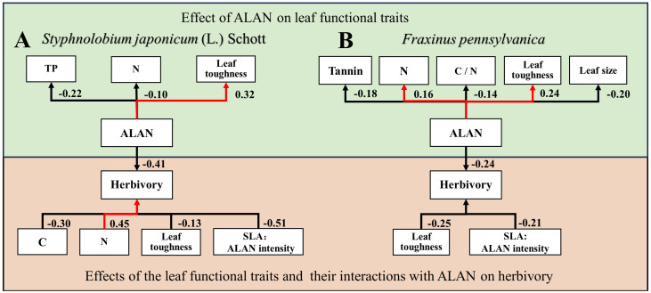 Figure 4