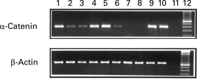 Figure 1  