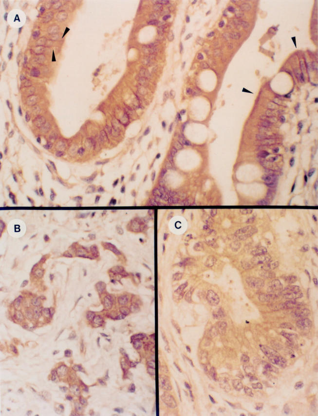 Figure 3  