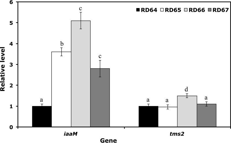 FIG 2