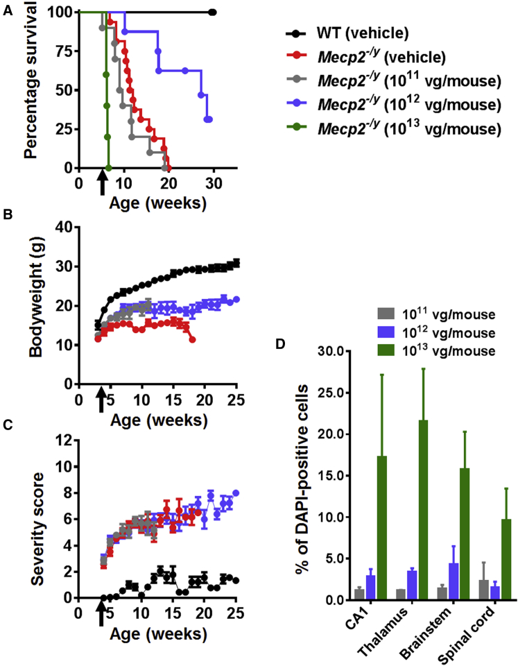 Figure 1