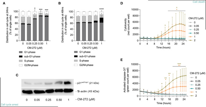 Figure 2